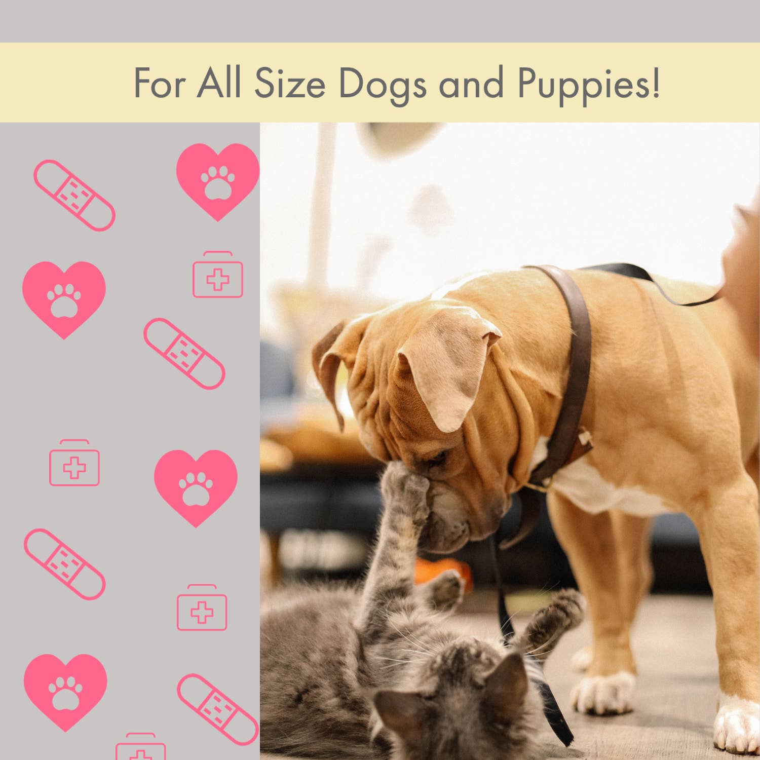 American Pet Supplies 40-Piece Pet Travel First Aid Kit – Adventure-Ready Care for Dogs