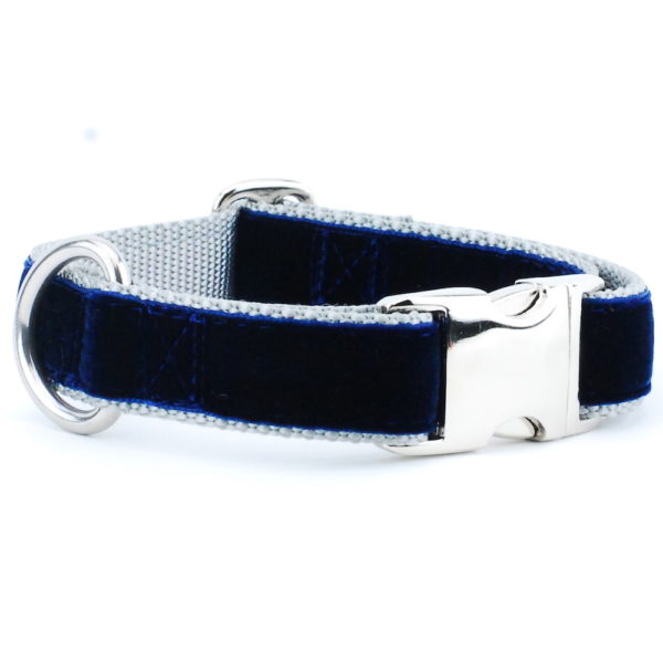 Navy & Silver Holiday Velvet Dog Collar | 2 Hounds Design