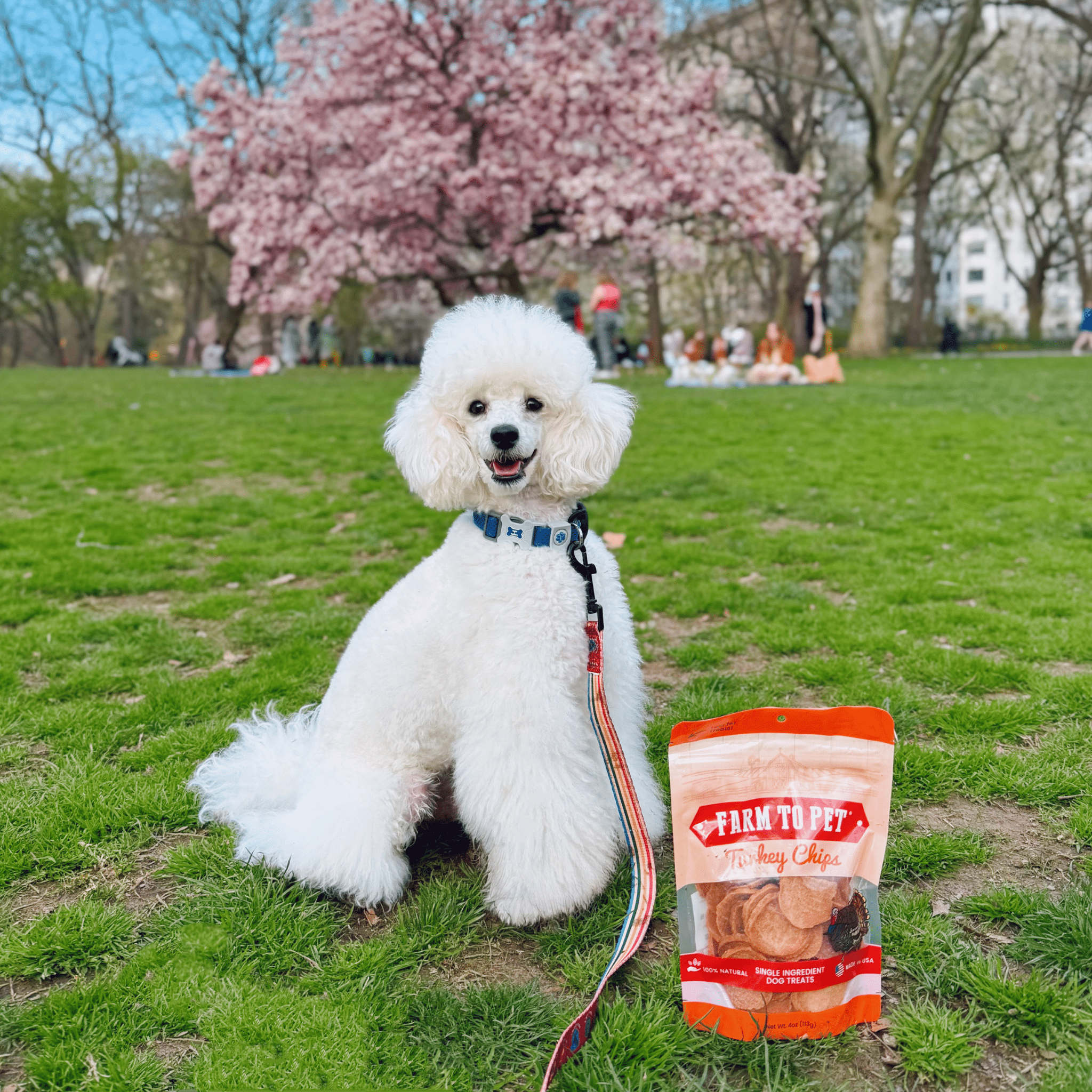 Farm to Pet Turkey Chips – 100% Single-Ingredient Dog Treats