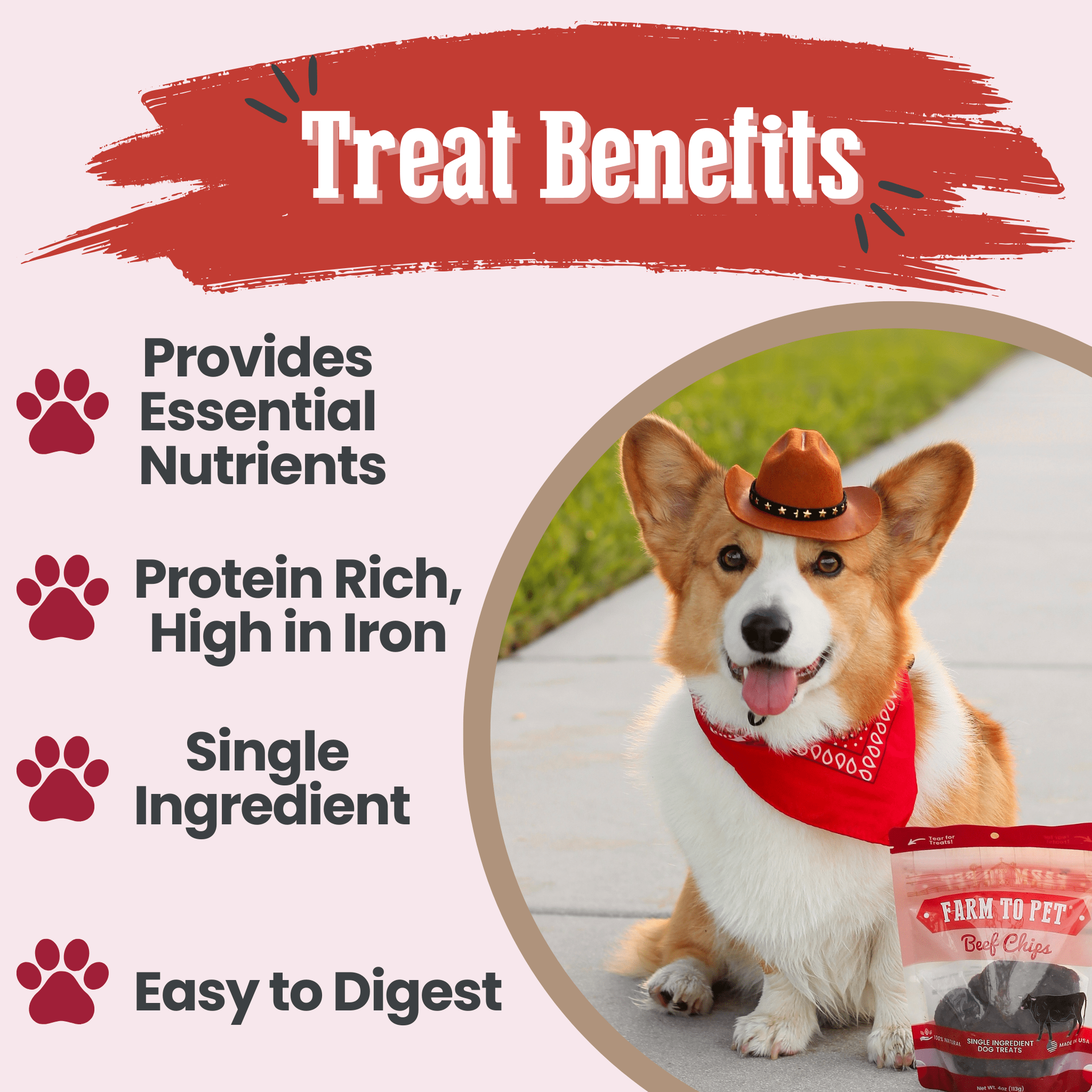 Farm to Pet Beef Chips – 100% Single-Ingredient Dog Treats
