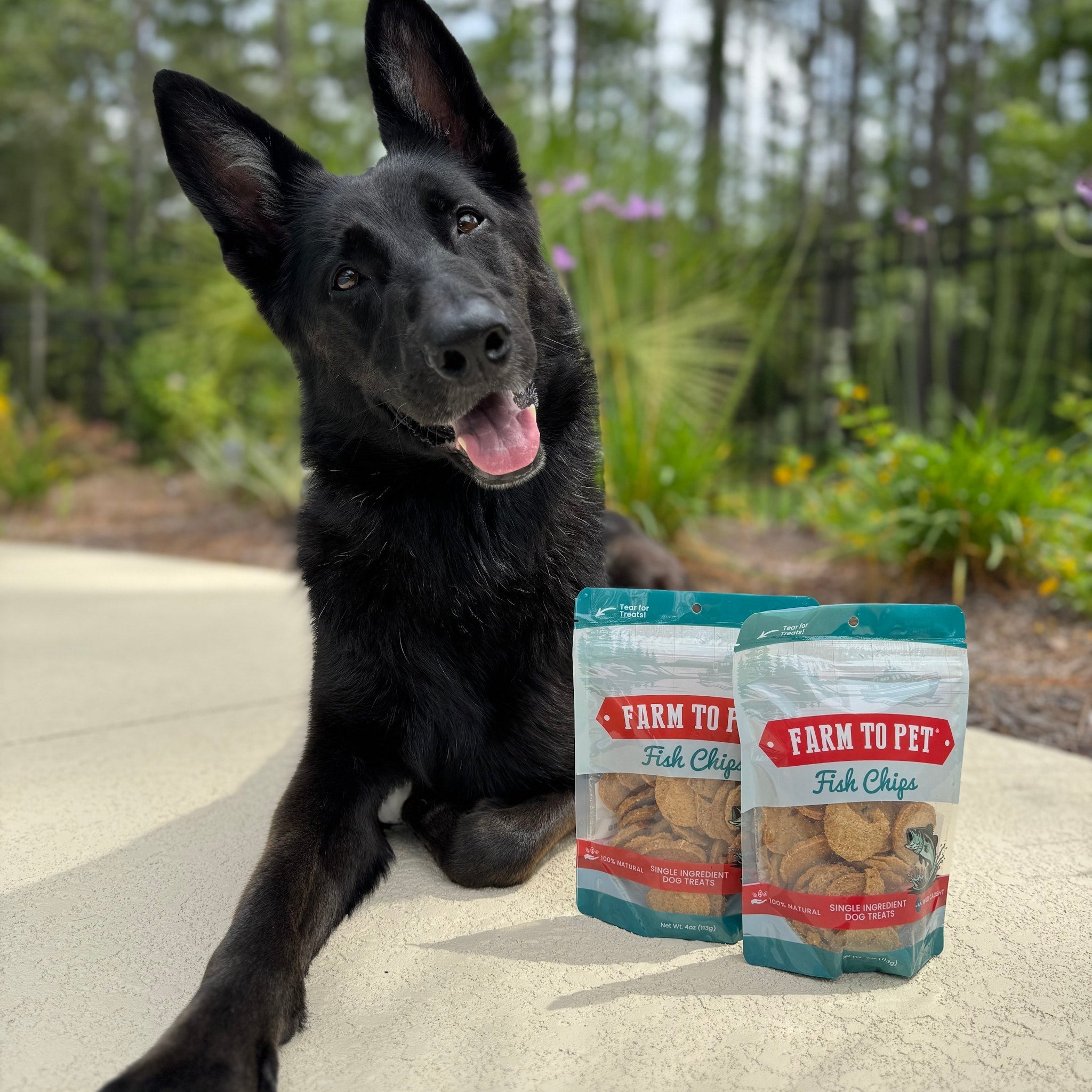 Farm to Pet Fish Chips – 100% Wild-Caught Walleye Dog Treats