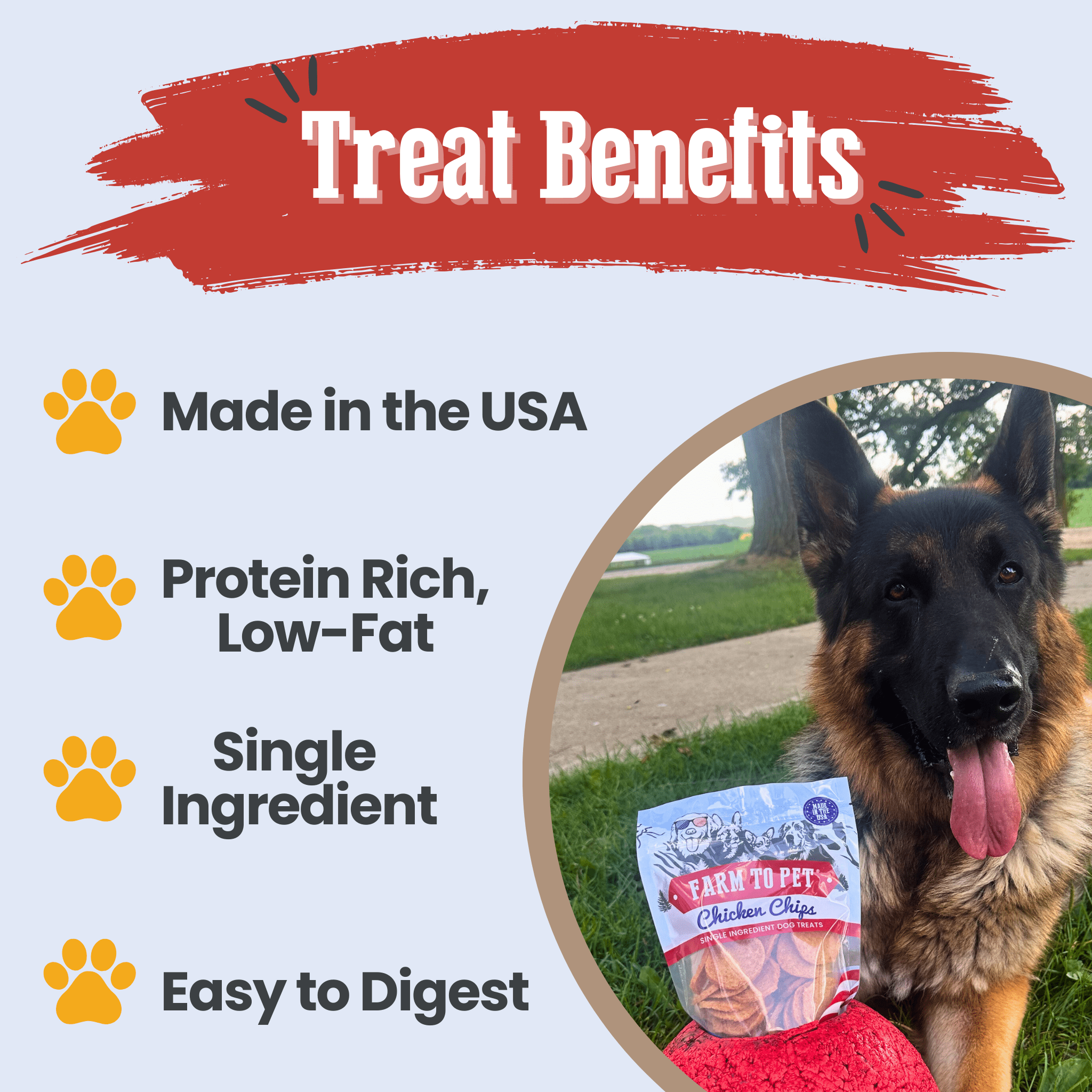 Farm to Pet Americana Chicken Chips – 100% All-American Dog Treats