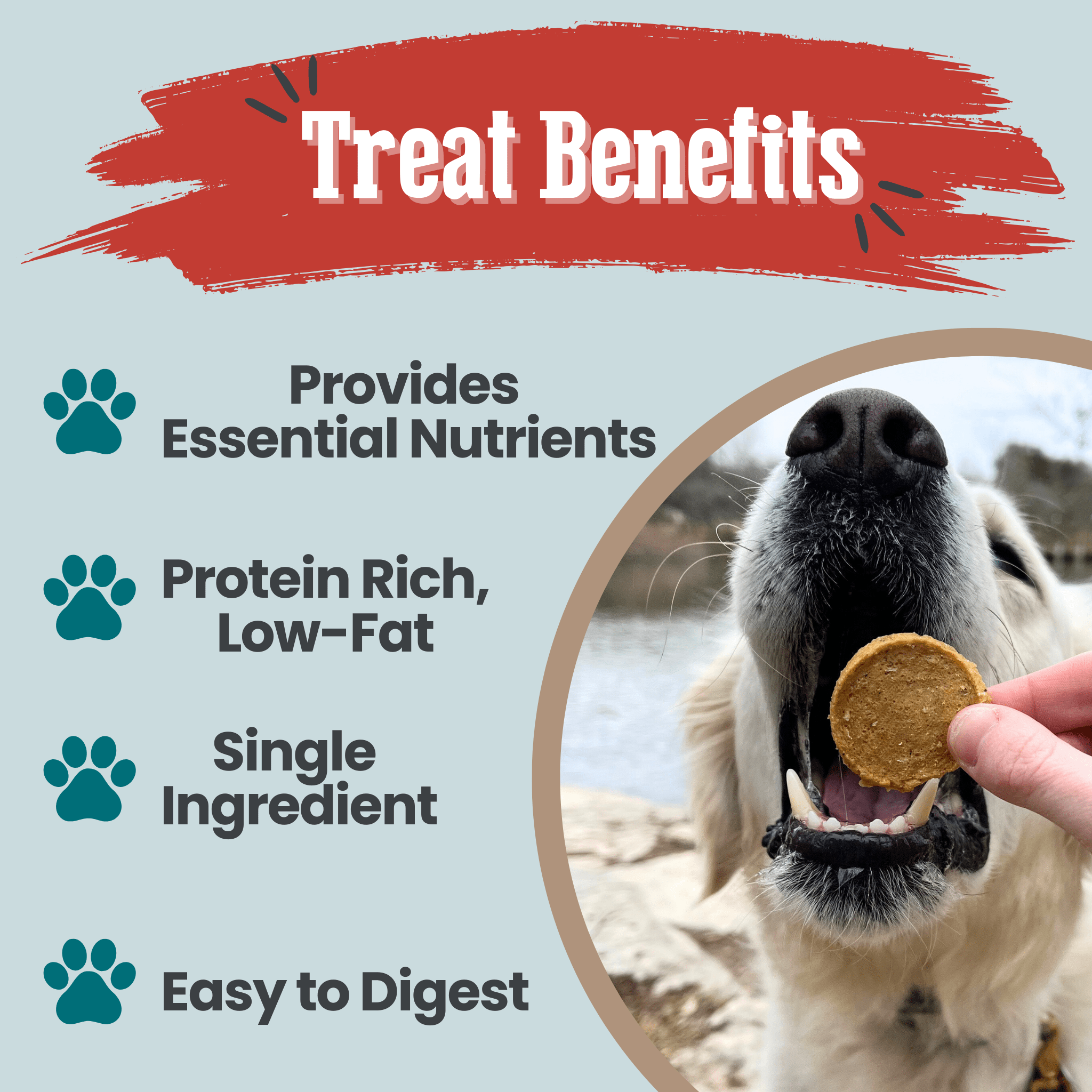 Farm to Pet Fish Chips – 100% Wild-Caught Walleye Dog Treats