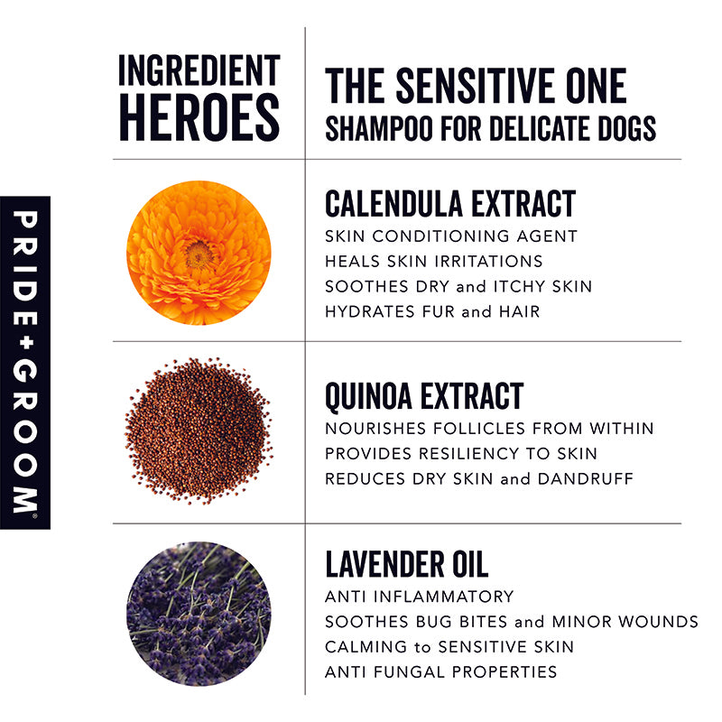 Pride+Groom “The Sensitive One” Dog Shampoo – Hypoallergenic & Calming Formula for Gentle Coats