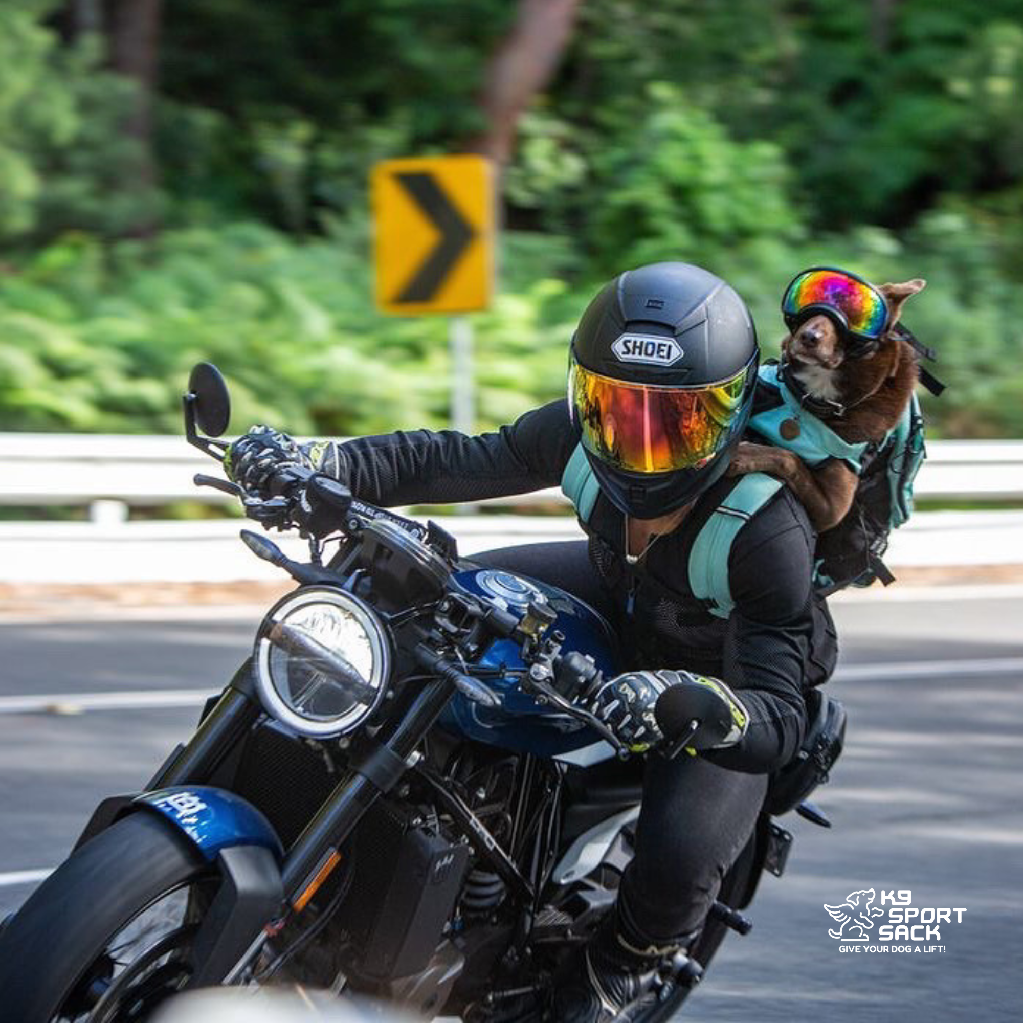 K9 Sport Sack® Plus 2 Dog Carrier Backpack – Forward-Facing with Removable Storage