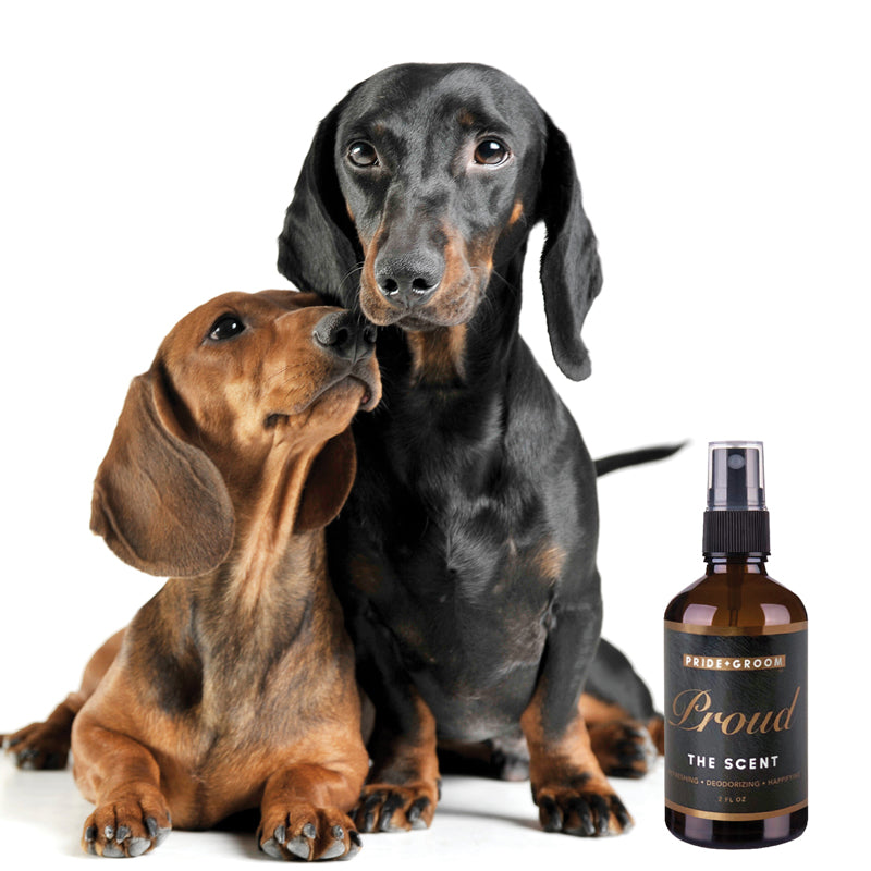 Pride + Groom Proud – Refreshing & Deodorizing Dog Fragrance Spray