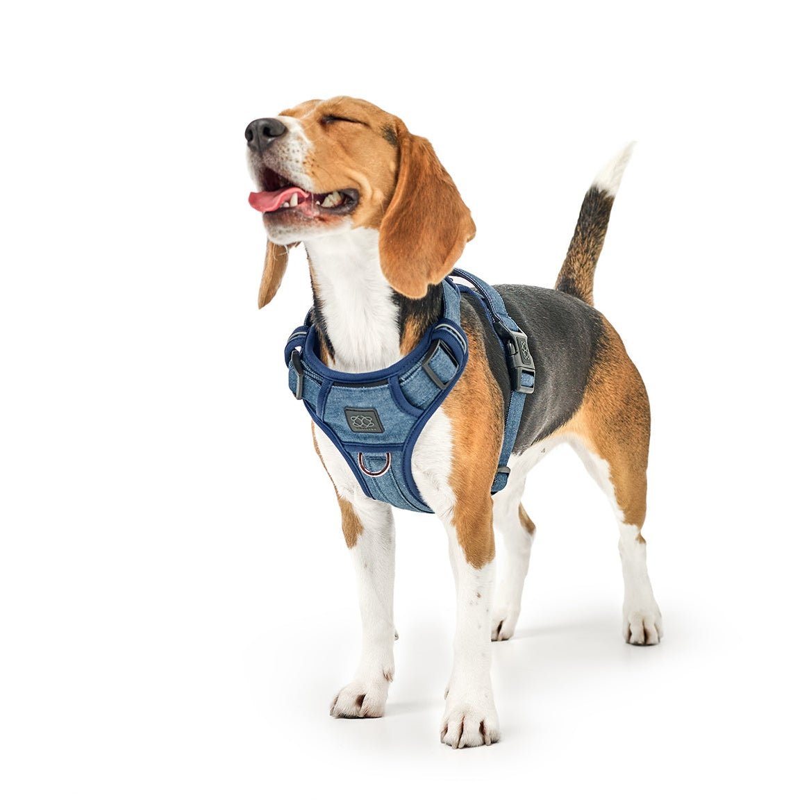 Nomad Dog Harness | Dogistry