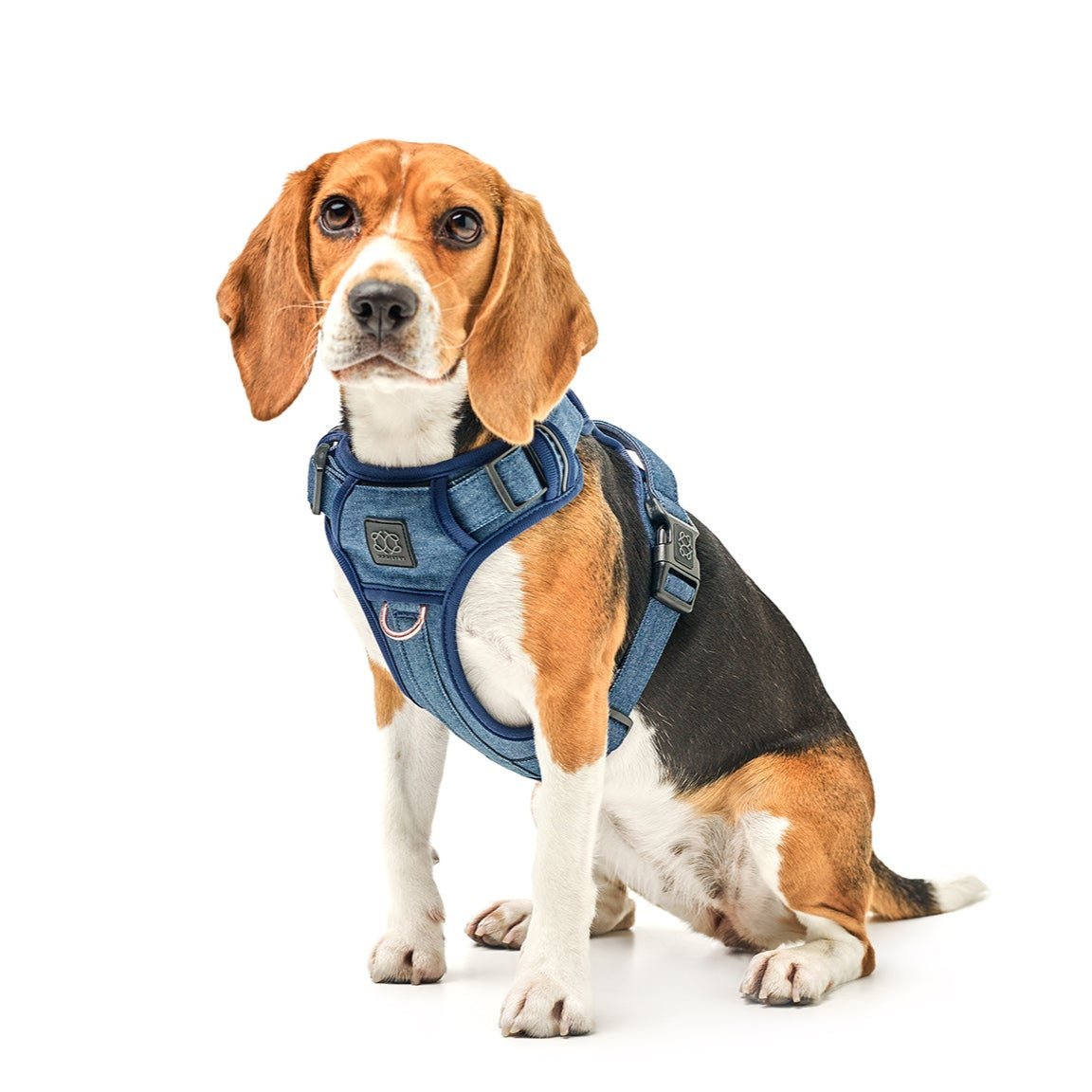 Nomad Dog Harness | Dogistry