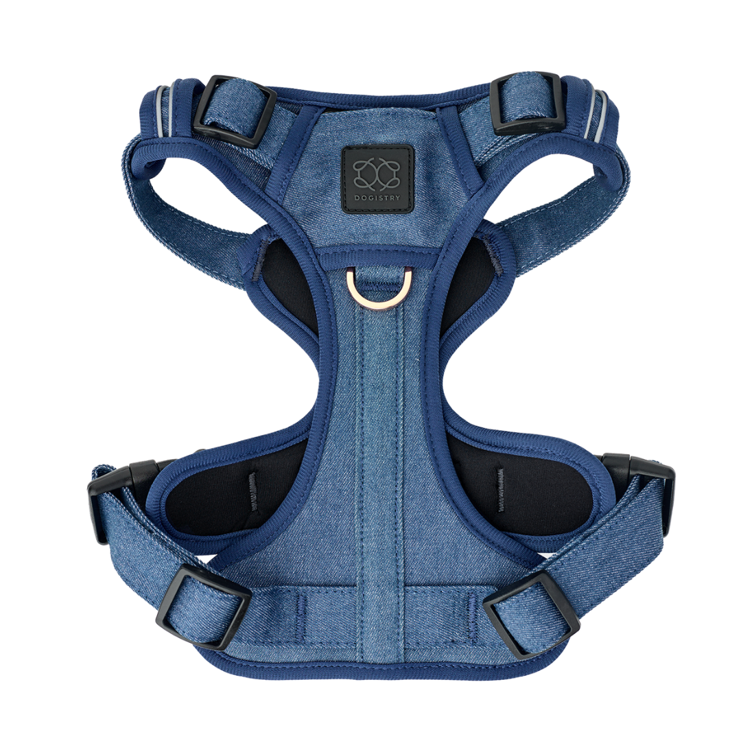Nomad Dog Harness | Dogistry