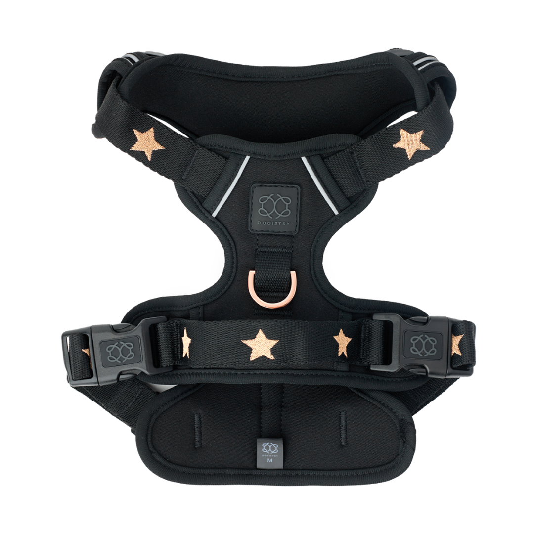 Nomad Dog Harness | Dogistry