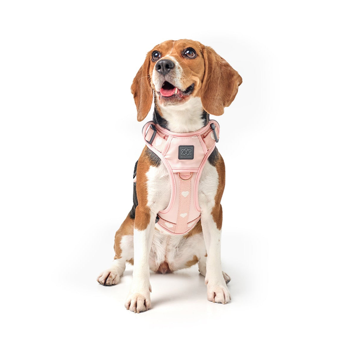 Nomad Dog Harness | Dogistry