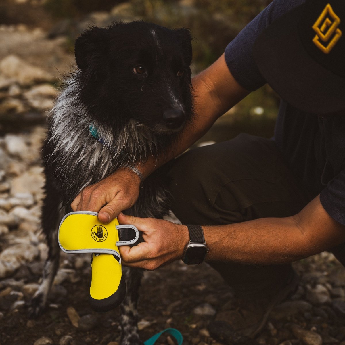 Body Glove Paw Protector Booties – All-Season Dog Paw Safety Gear