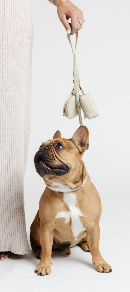 Pupwell Everyday Walk Kit