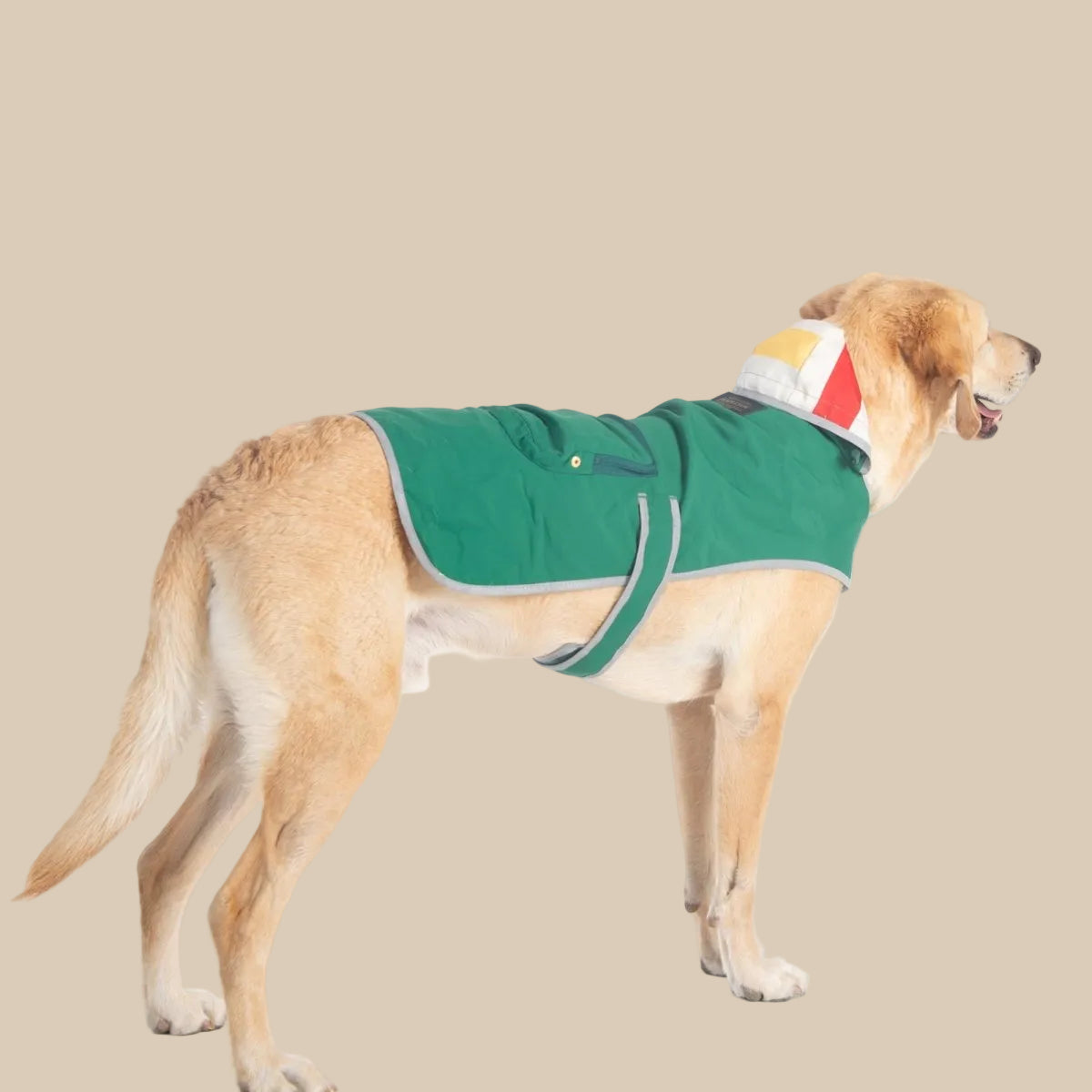Pendleton Glacier National Park Waterproof Raincoat for Dogs