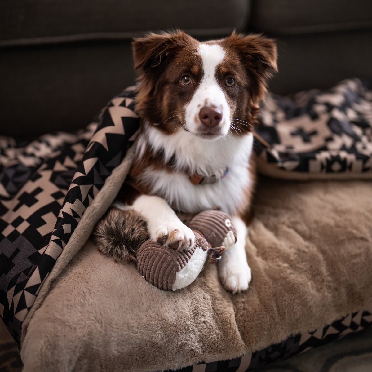 Pendleton Plush Squirrel Dog Toy – Soft, Squeaky & Stylish