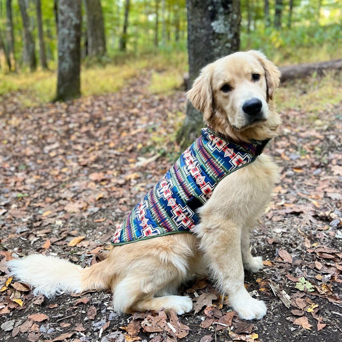 Pendleton Puffer Dog Coat