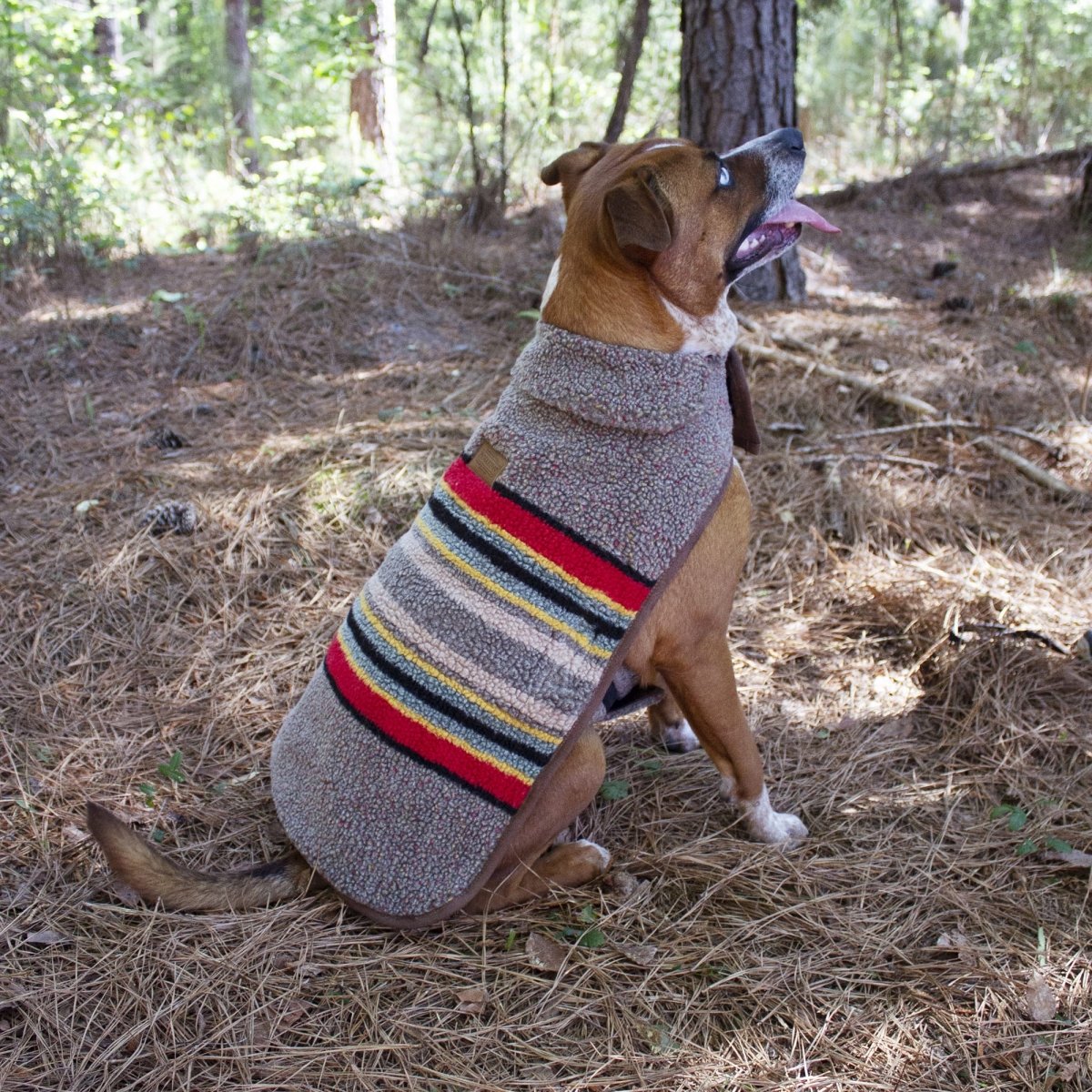 Pendleton Vintage Camp Berber Dog Coat