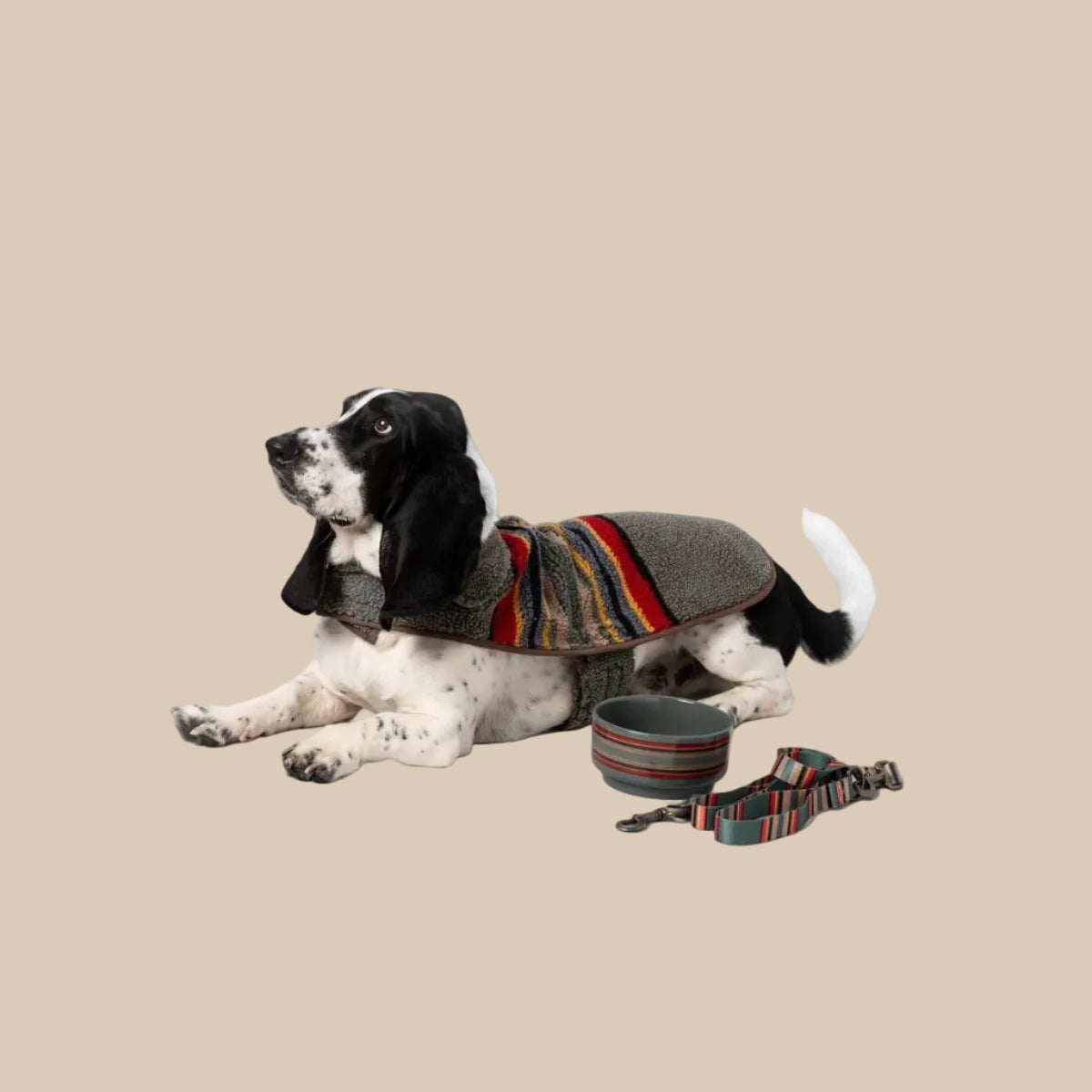 Pendleton Vintage Camp Berber Dog Coat
