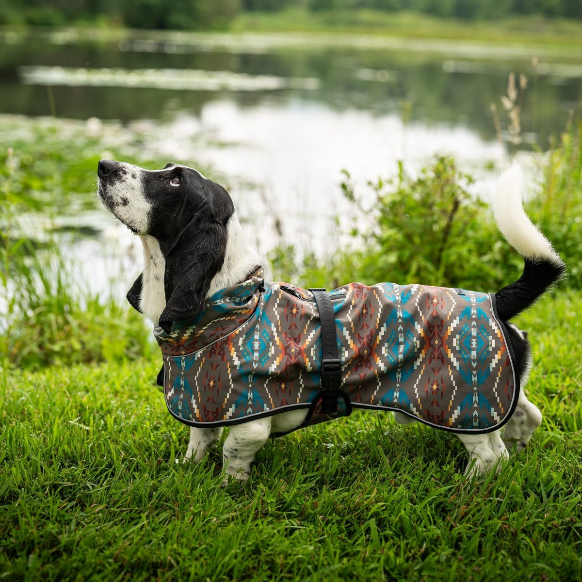 Pendleton Waterproof Adventure Pet Coat – All-Weather Heritage Protection