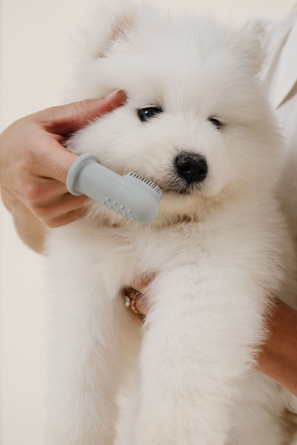 Puwell Puppy Breath Finger Toothbrush