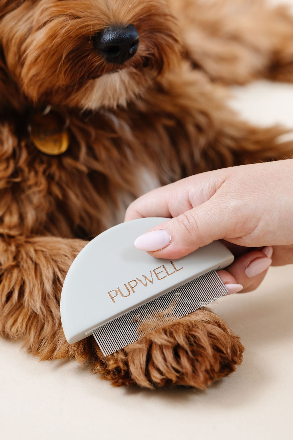 Pupwell Detailer Comb