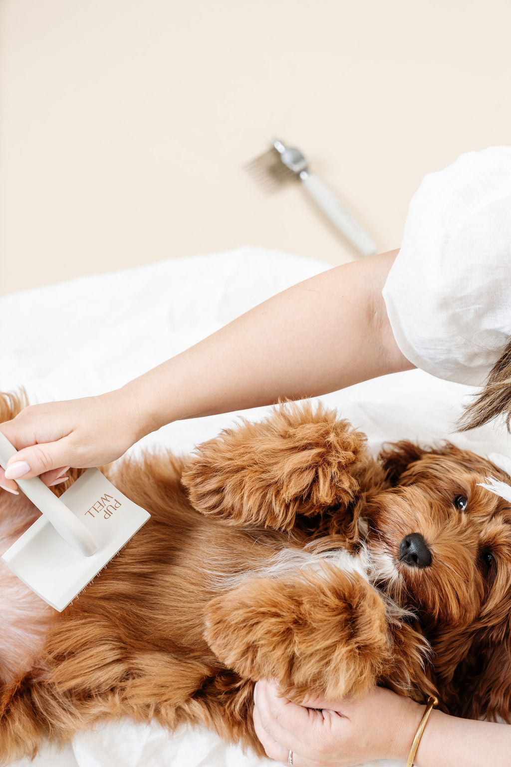 Pupwell Everyday Slicker Brush