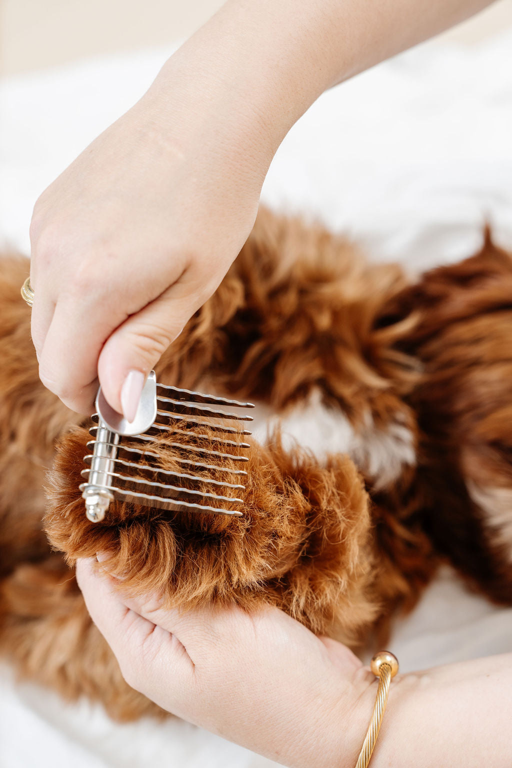 Pupwell Detangler Comb