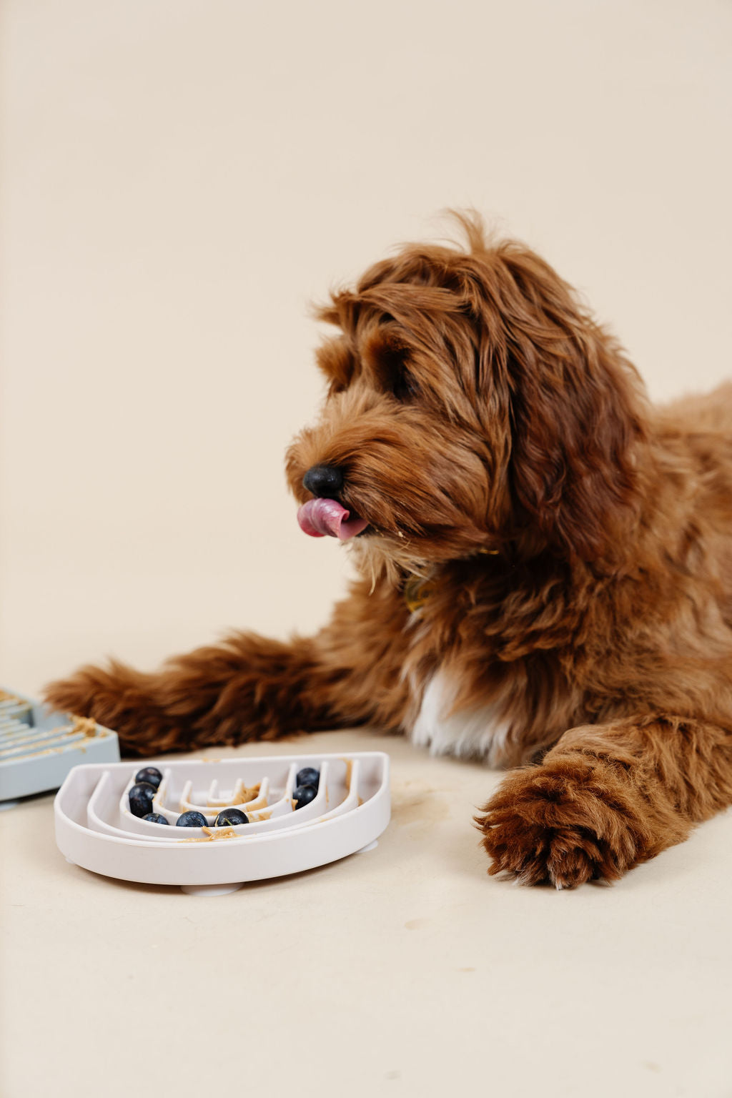 Pupwell Happy Feelings Lick Mat & Slow Feeder