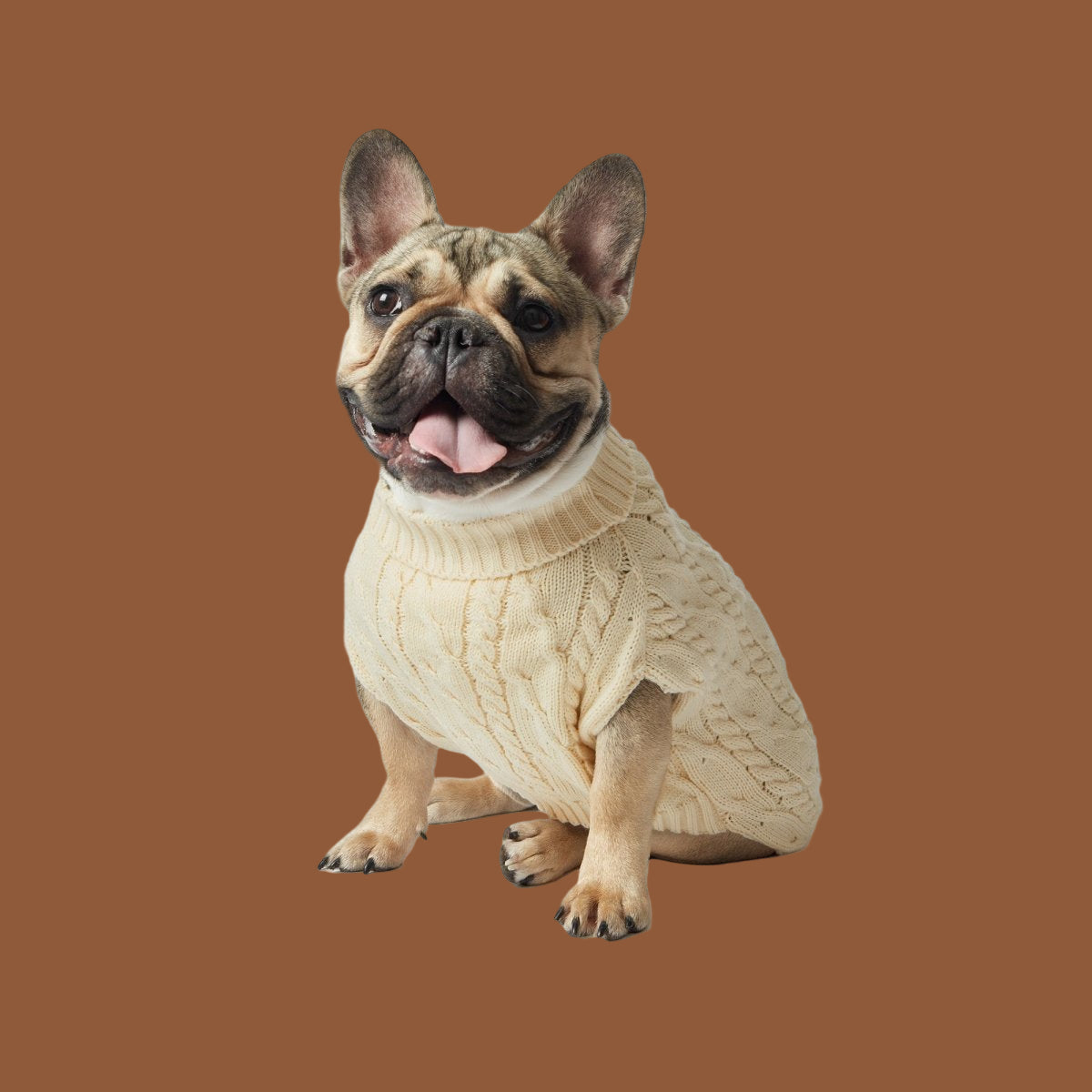 Shinola Cable Knit Dog Sweater