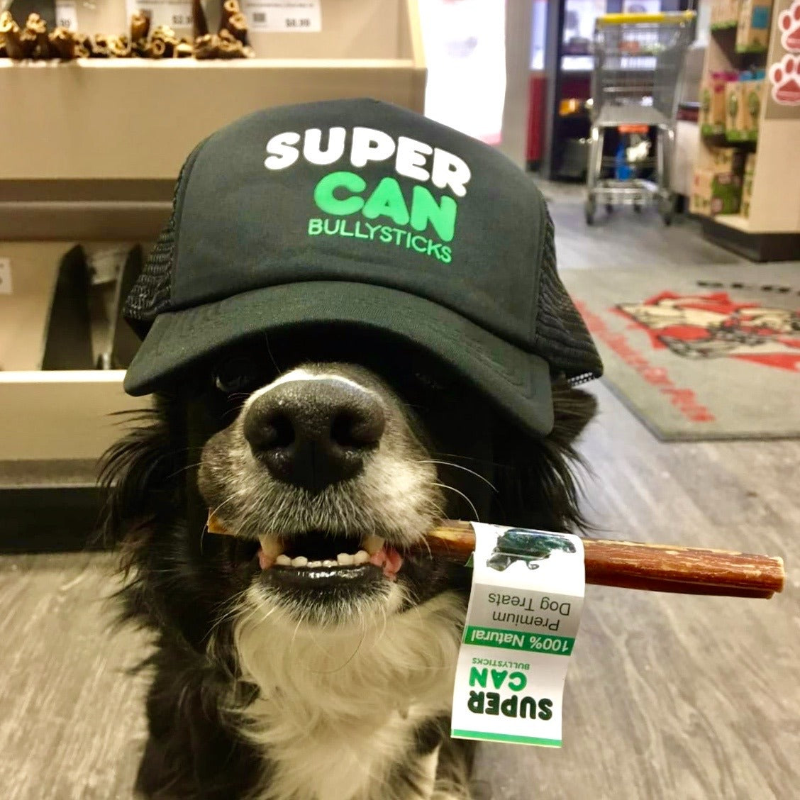š¾ Super Can Bully Sticks ā Superior Chews for Canines (25-Pack)