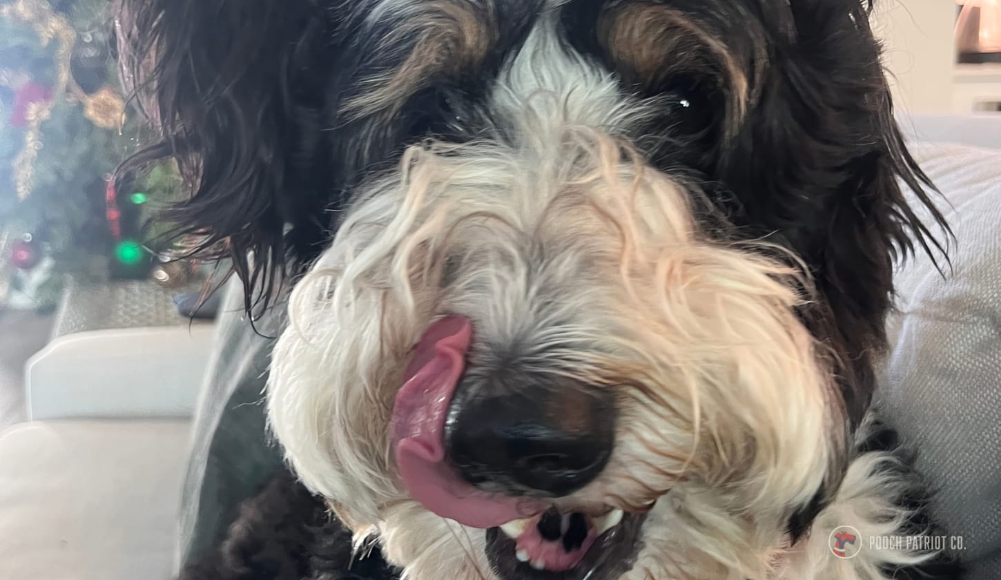 Oliver