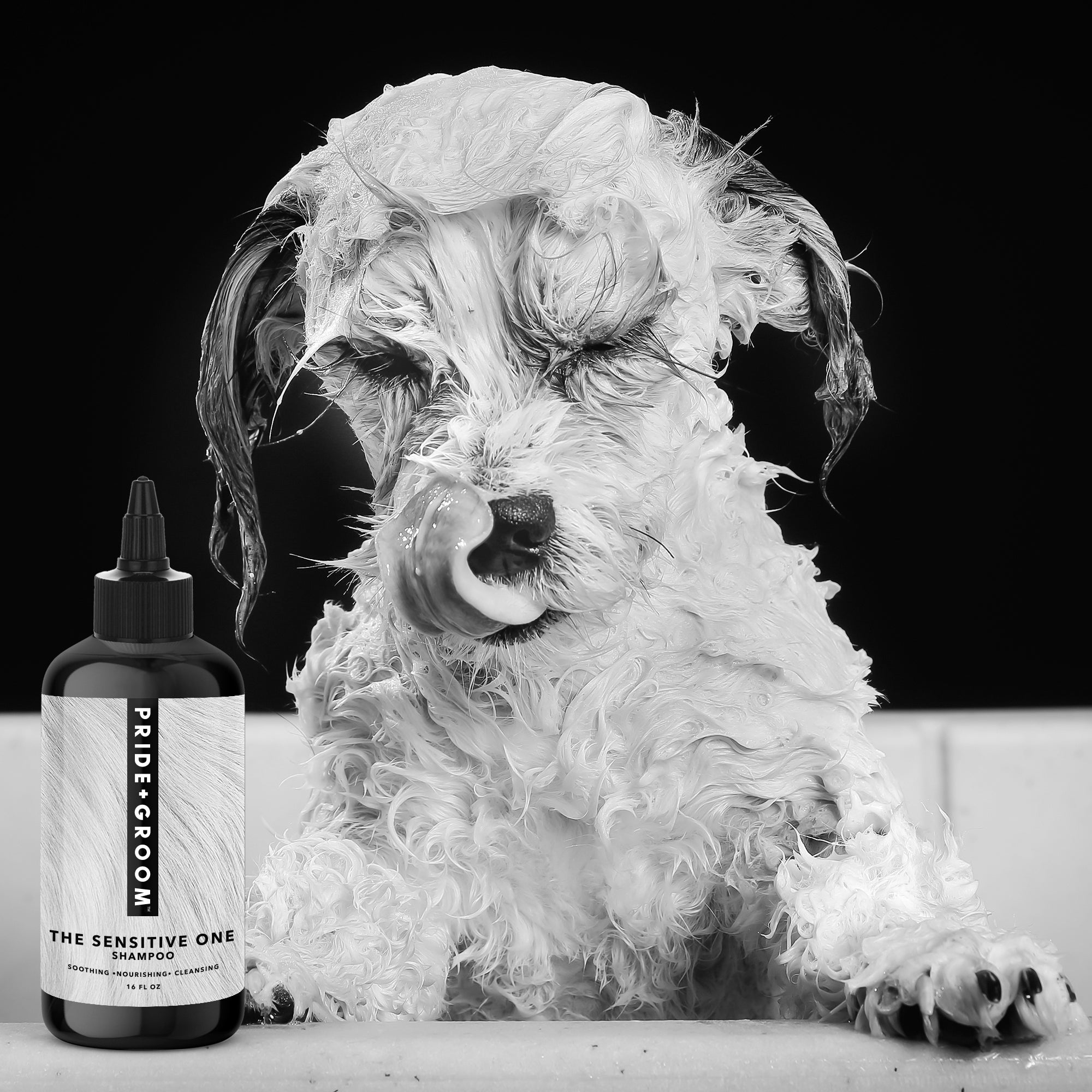 Pride+Groom “The Sensitive One” Dog Shampoo – Hypoallergenic & Calming Formula for Gentle Coats
