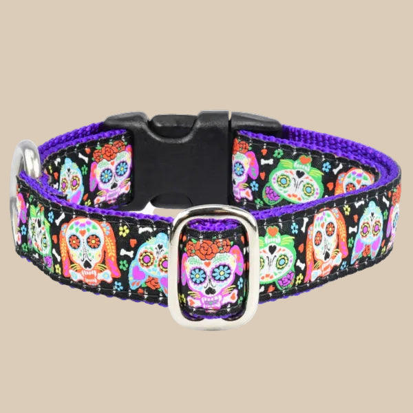 Día de los Muertos Dog Collar | Sugar Skull Edition by 2 Hounds Design