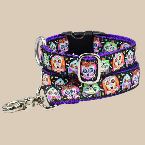 Día de los Muertos Dog Collar | Sugar Skull Edition by 2 Hounds Design