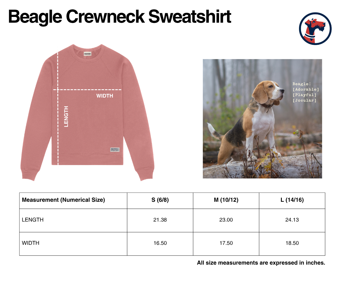 Size chart for The Beagle Youth Crewneck Sweatshirt