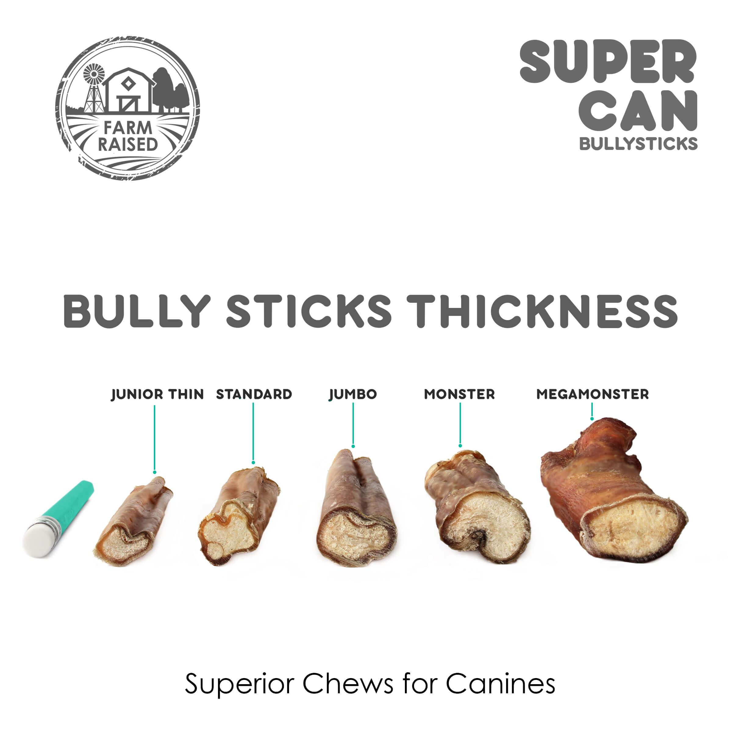 🐾 Super Can Bully Sticks – Superior Chews for Canines (25-Pack)