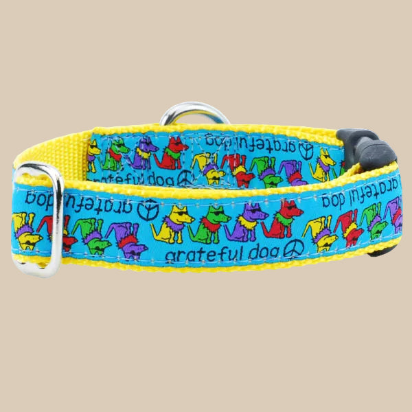 Grateful Dog Dog Collar | 2 Hounds Design × Teddy the Dog