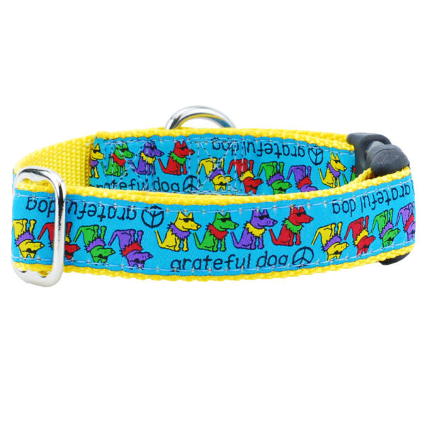 Grateful Dog Dog Collar | 2 Hounds Design × Teddy the Dog