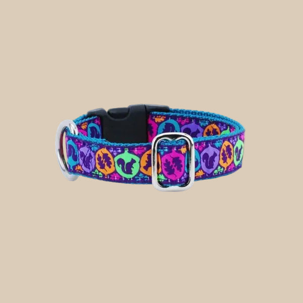 Haunted by Squirrels Dog Collar | 2 Hounds Design