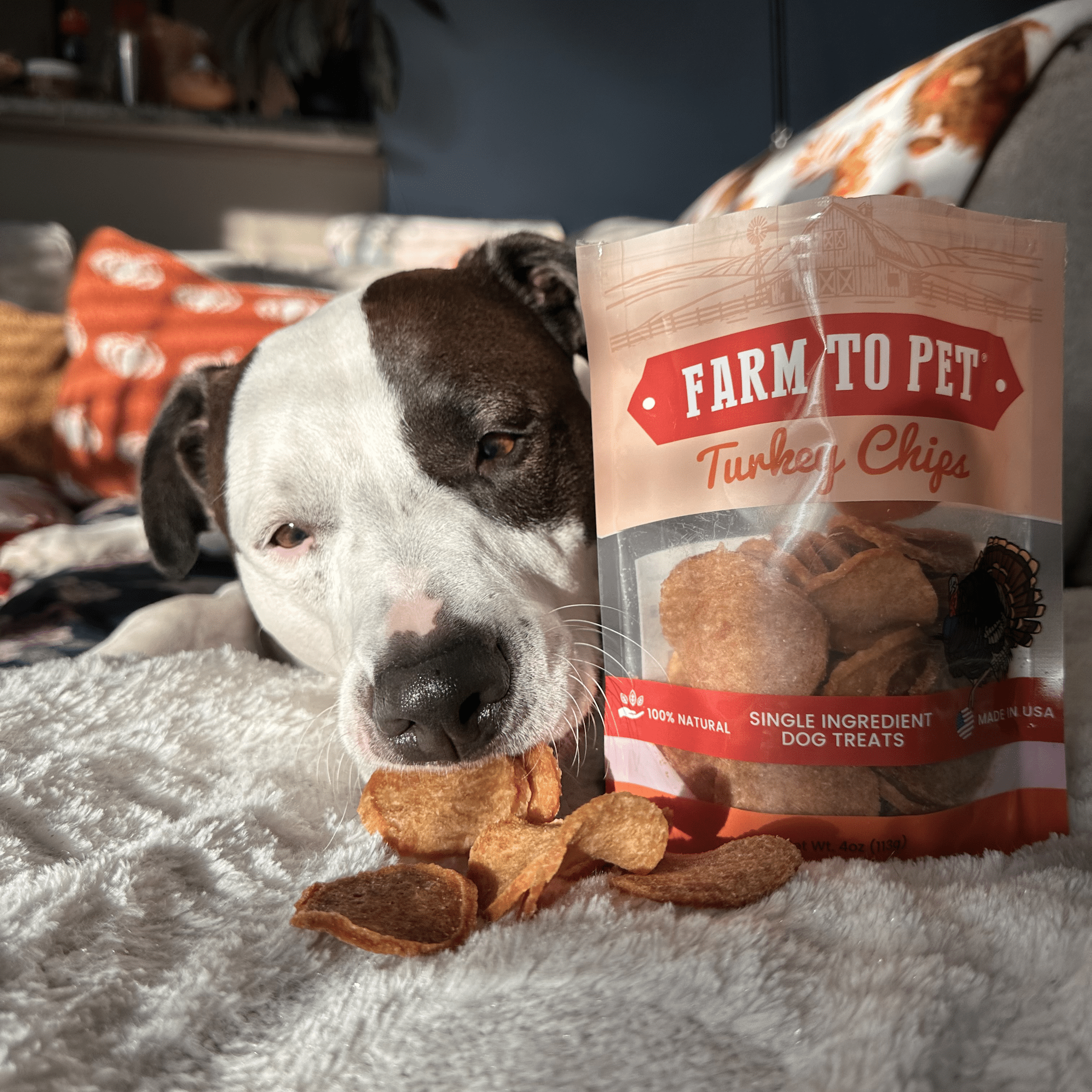 Farm to Pet Turkey Chips – 100% Single-Ingredient Dog Treats