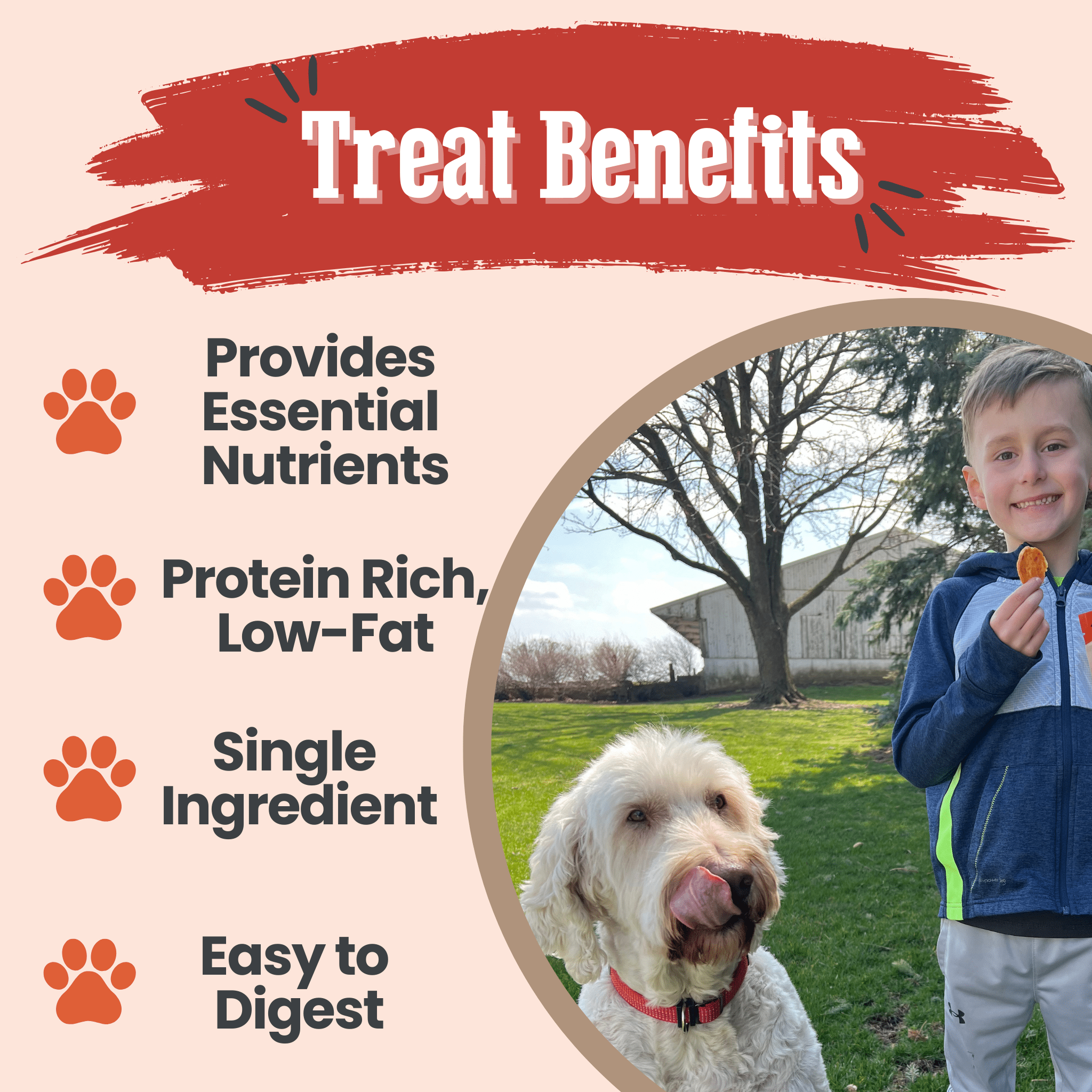 Farm to Pet Turkey Chips – 100% Single-Ingredient Dog Treats