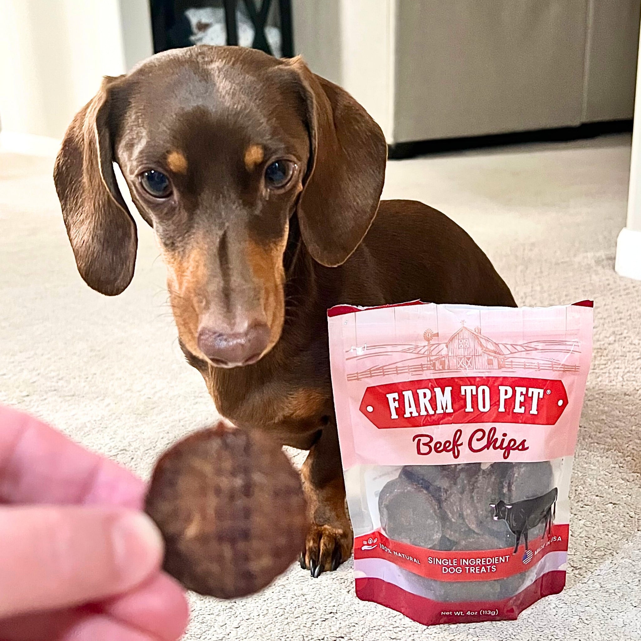Farm to Pet Beef Chips – 100% Single-Ingredient Dog Treats