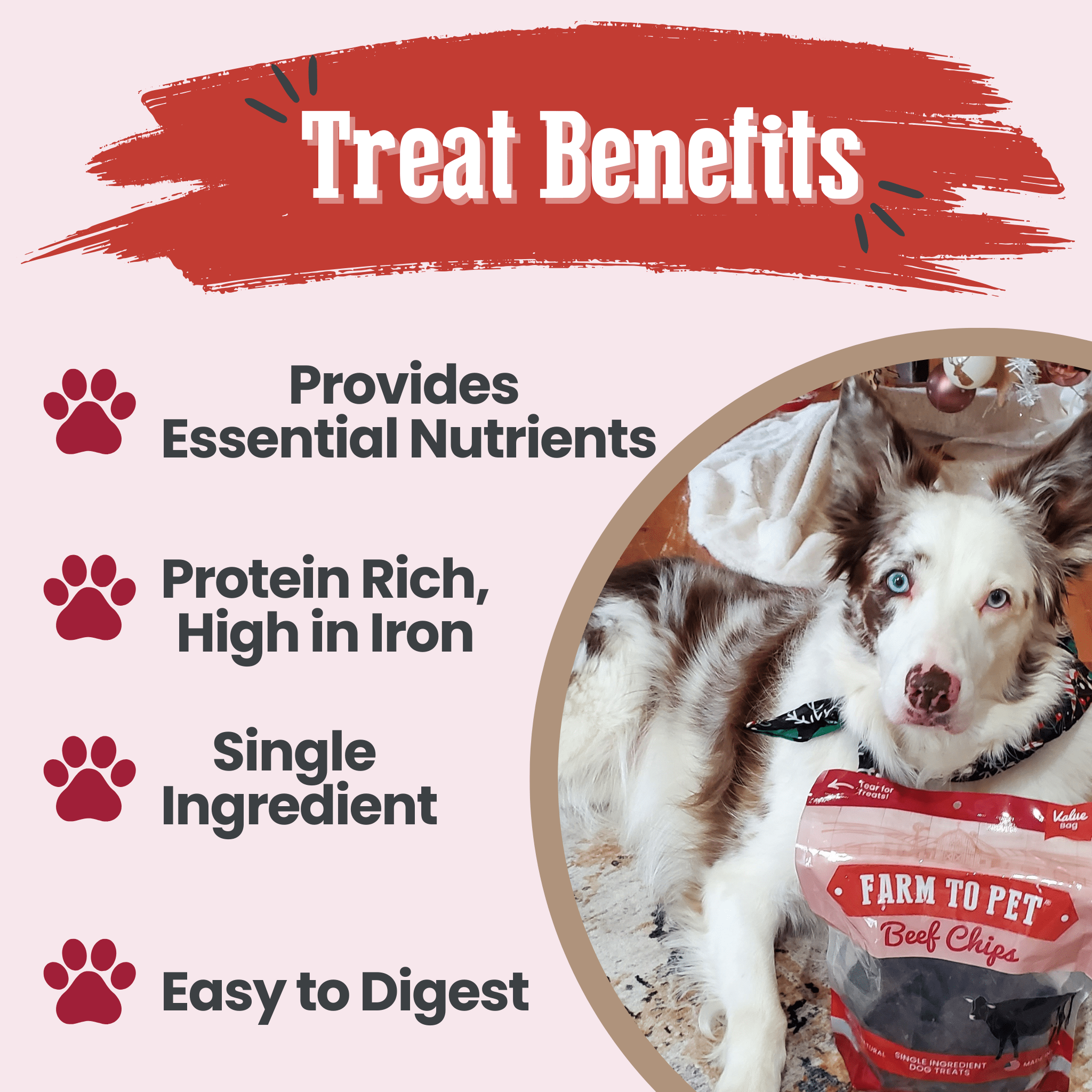 Farm to Pet Beef Chips – 100% Single-Ingredient Dog Treats