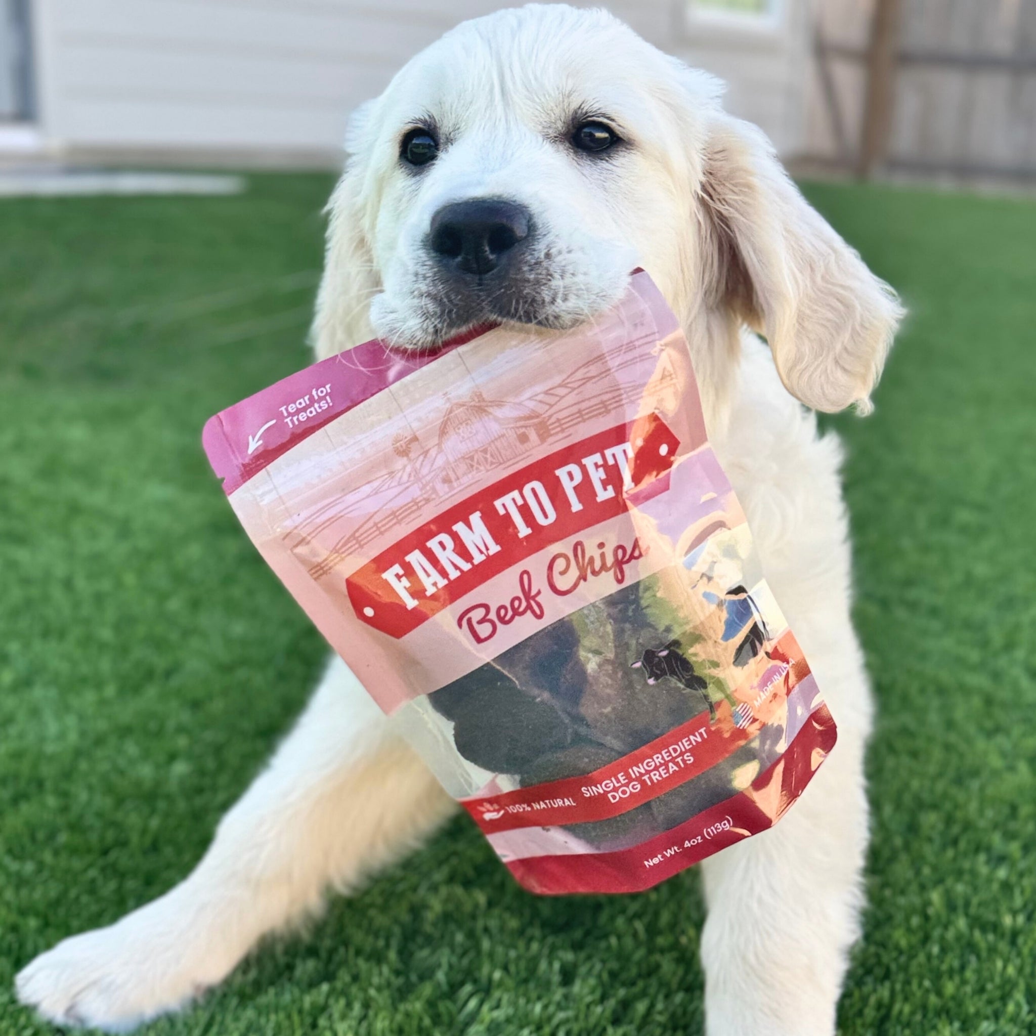 Farm to Pet Beef Chips – 100% Single-Ingredient Dog Treats