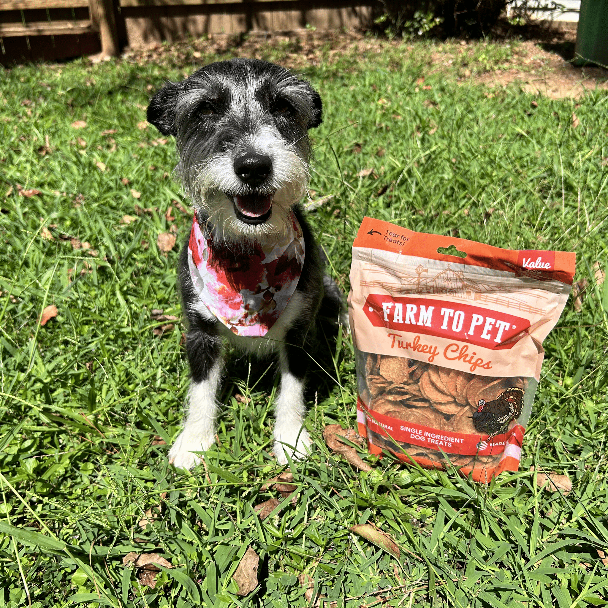 Farm to Pet Turkey Chips – 100% Single-Ingredient Dog Treats