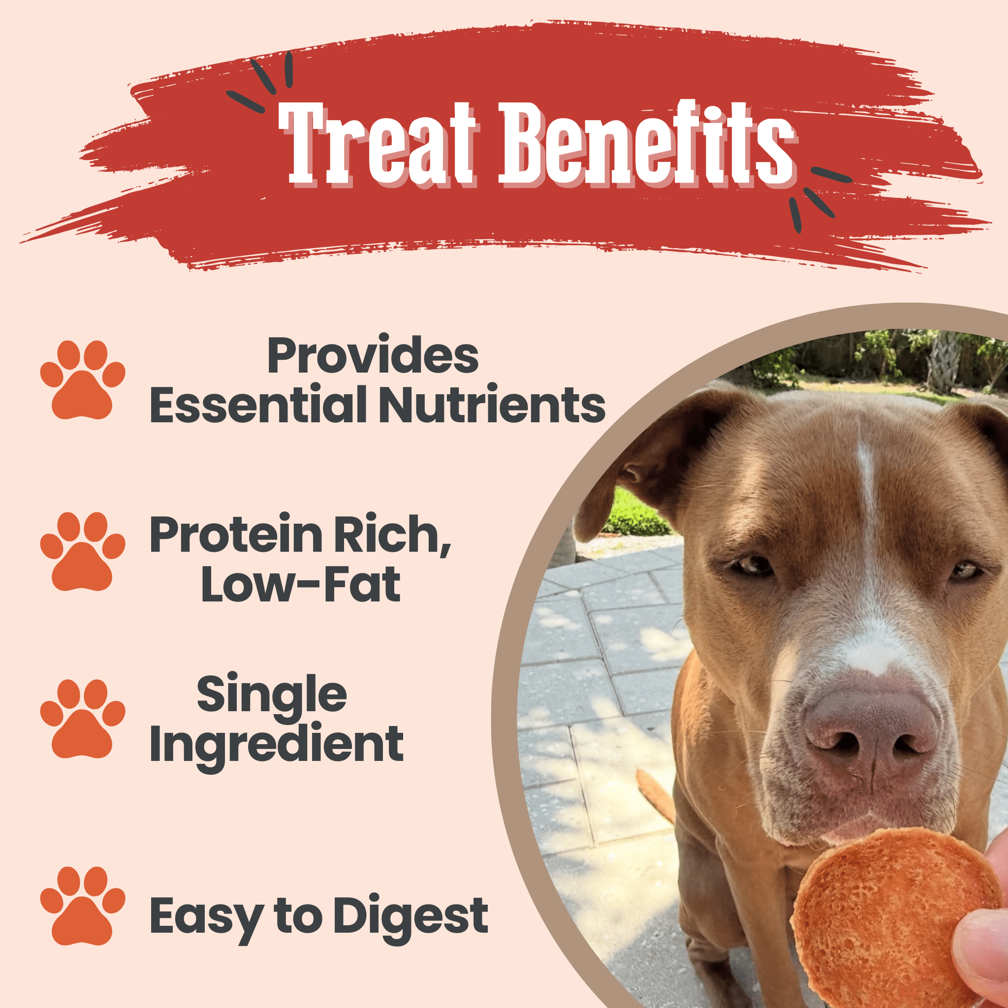 Farm to Pet Turkey Chips – 100% Single-Ingredient Dog Treats