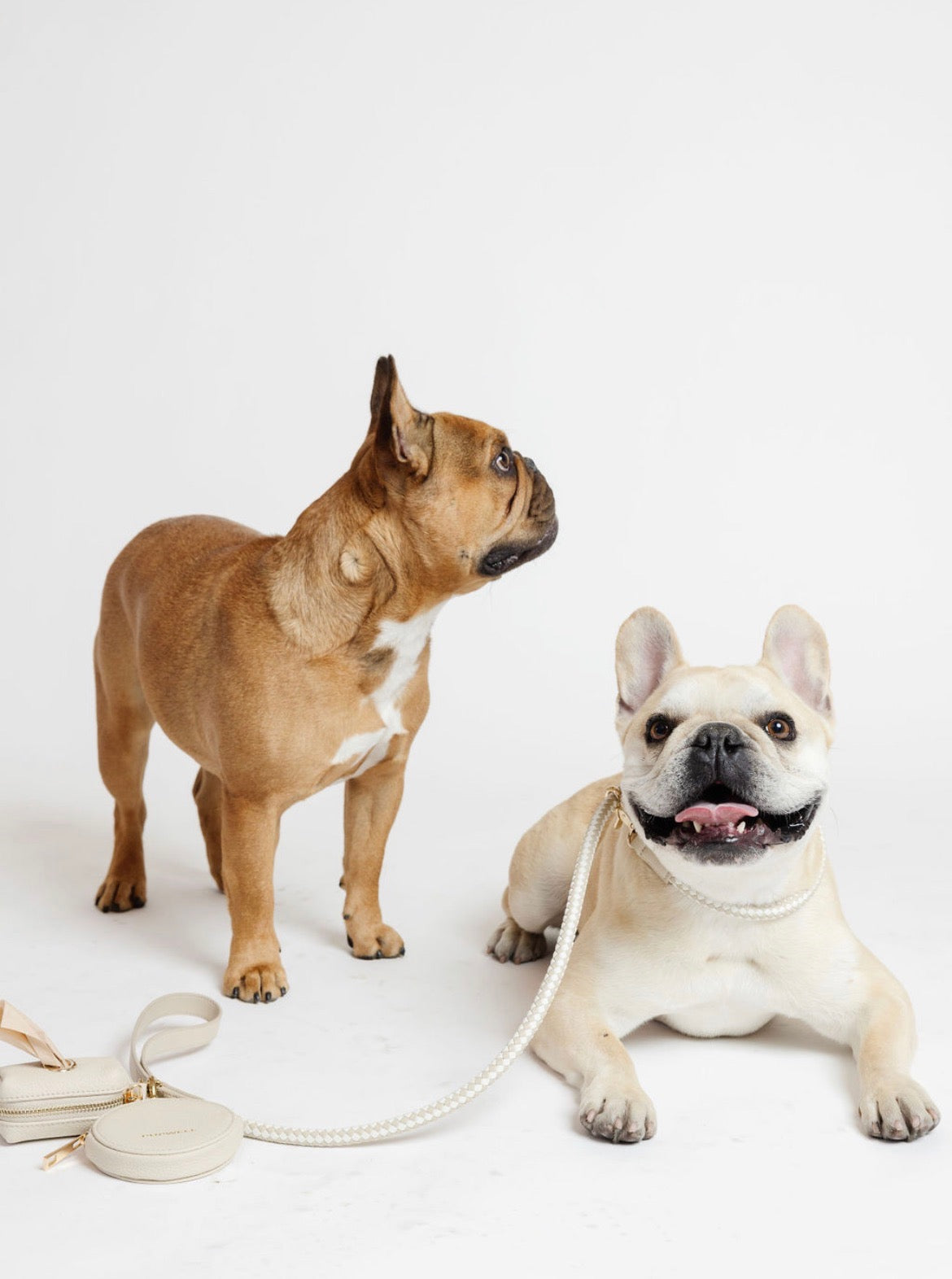 Pupwell Everyday Walk Kit