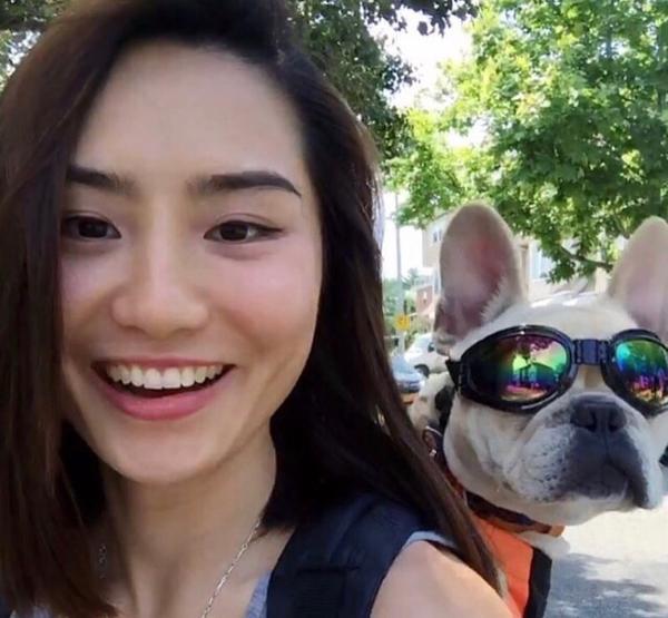 K9 Sport Sack Groovy Sport Shades – Protective Dog Goggles