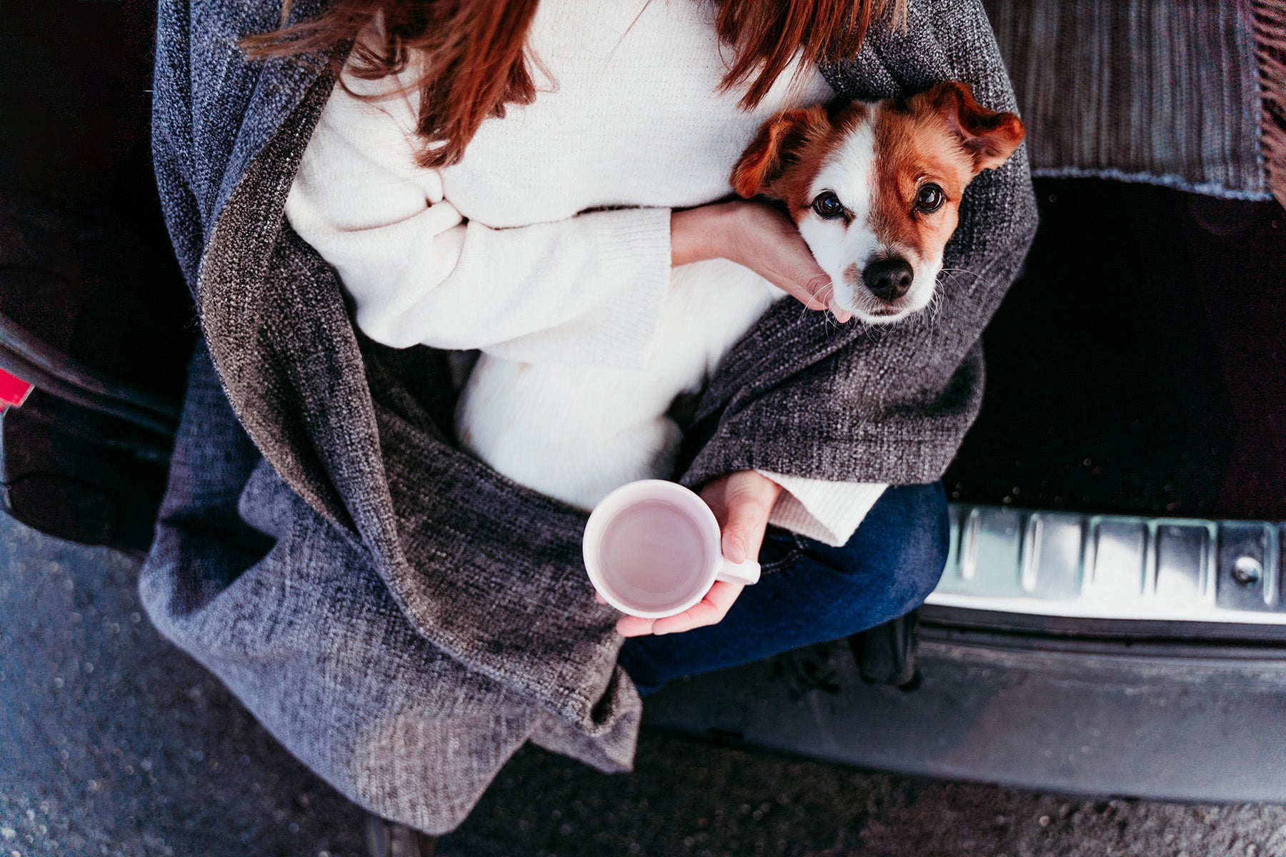 Person holding a dog and a mug in a car trunk
