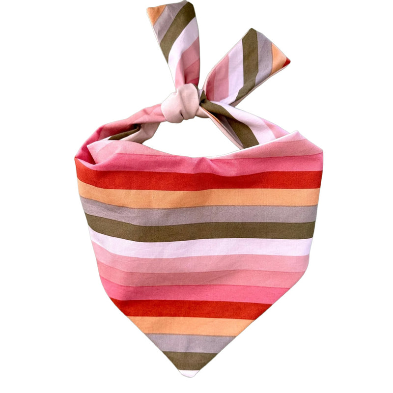 Boho Stripes Dog Bandana | Happy Tails Outfitters